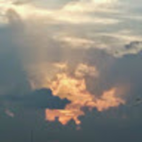ann_proctor